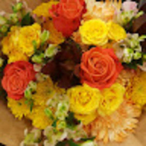 Meet your Posher, Lory